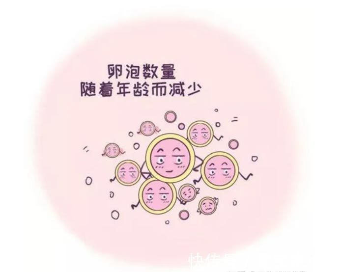 预产期计算