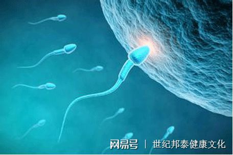 验孕棒