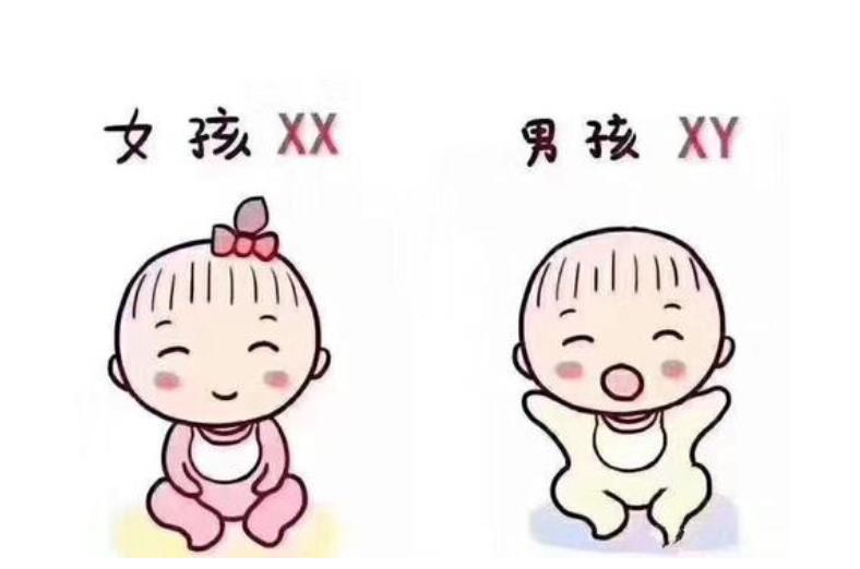 风湿病