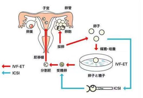 预产期过了