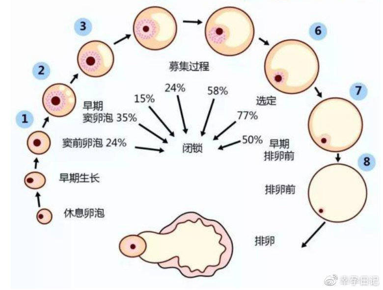 验孕棒