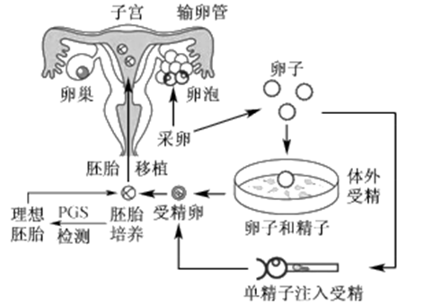 验孕棒
