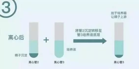 验孕棒一条杠