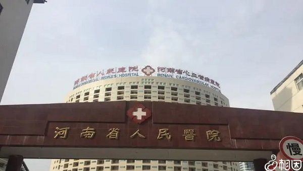 预产期计算器查询