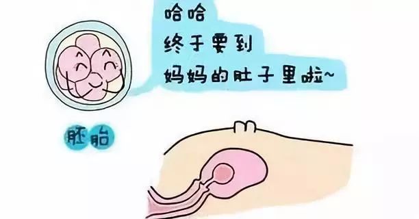 验孕棒