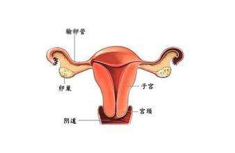 验孕棒笔型