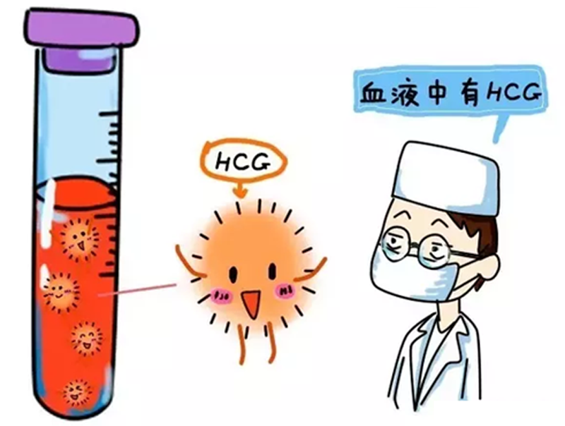 验孕棒笔型