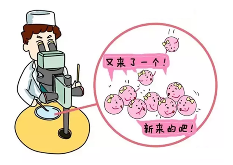 验孕棒