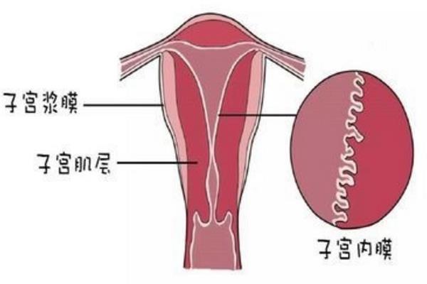 验孕棒