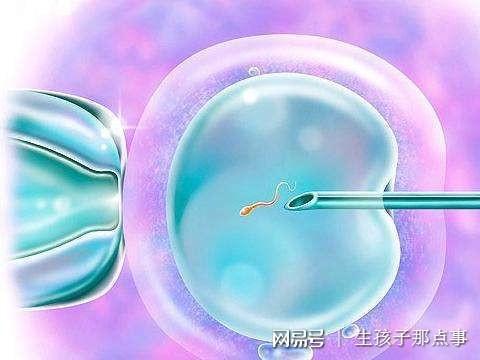 验孕棒