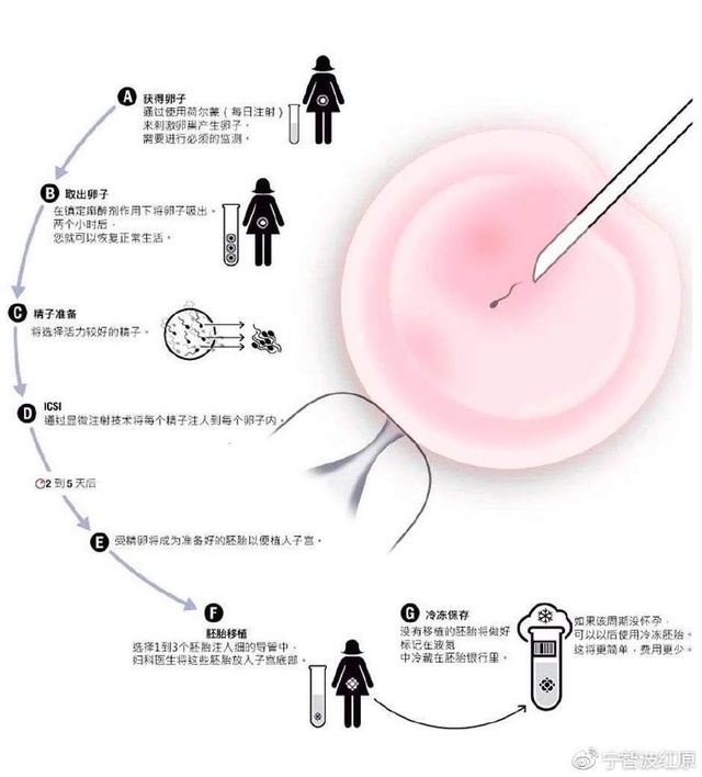 飞行员