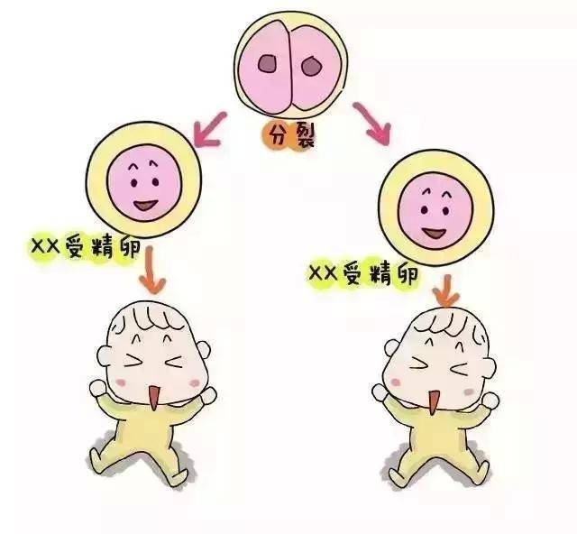 验孕棒