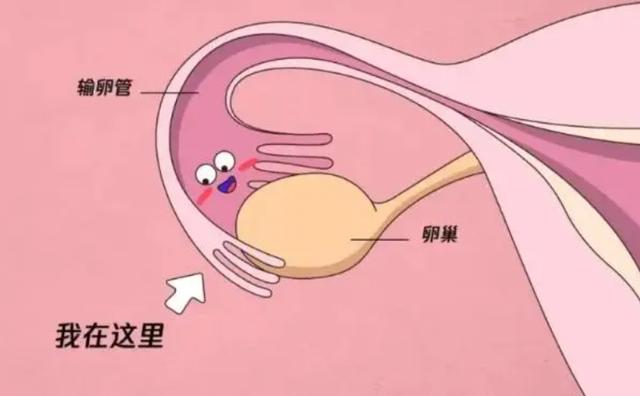 预产期