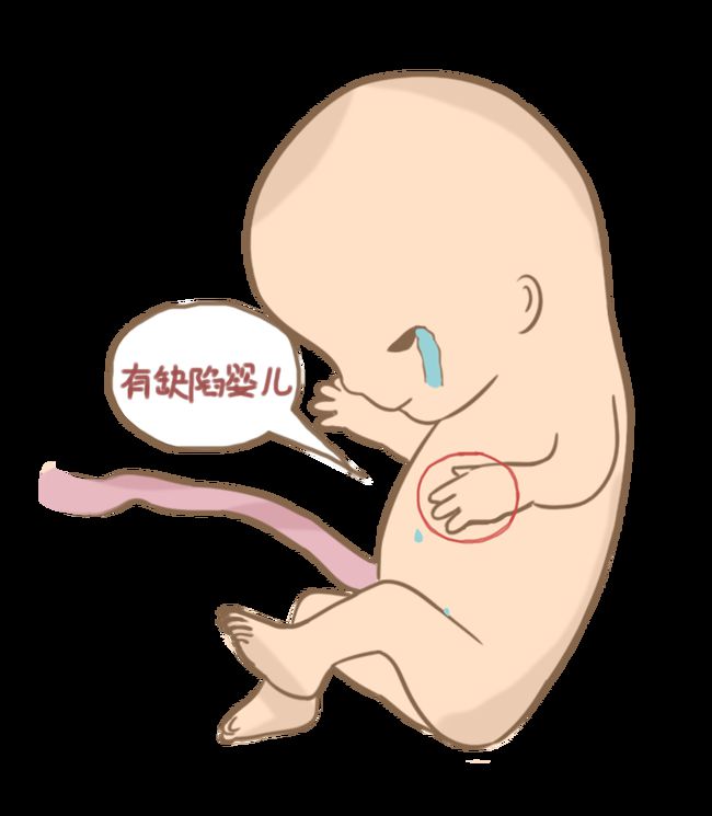 预产期计算器