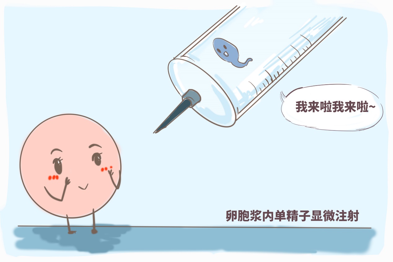 飞行