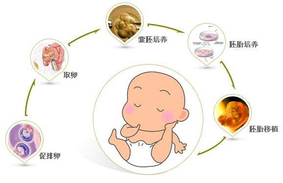 验孕棒笔型