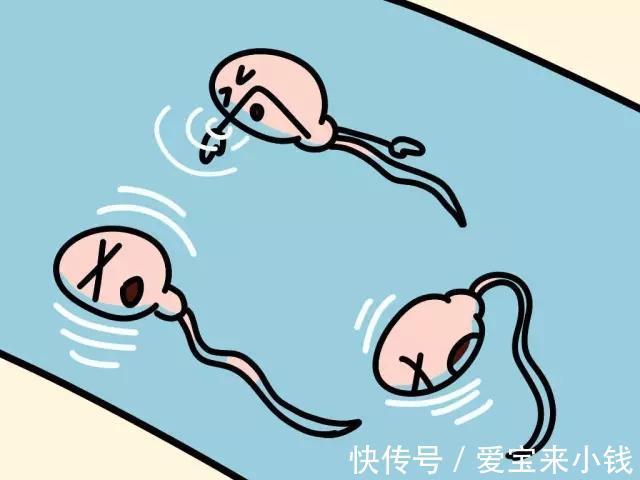预产期计算器