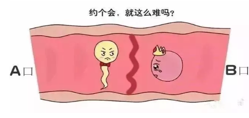 验孕棒检测无效