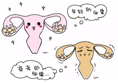 验孕棒