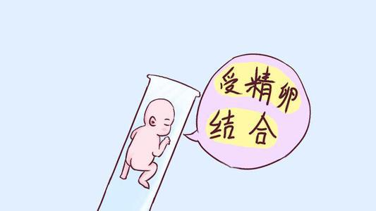 预产期计算器
