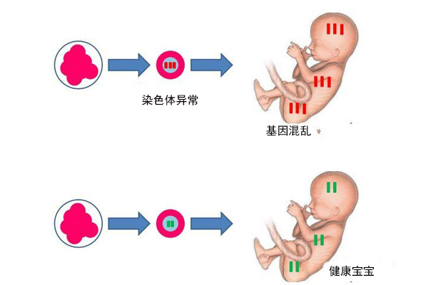 验孕棒