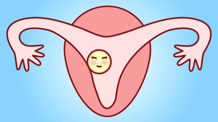 验孕棒