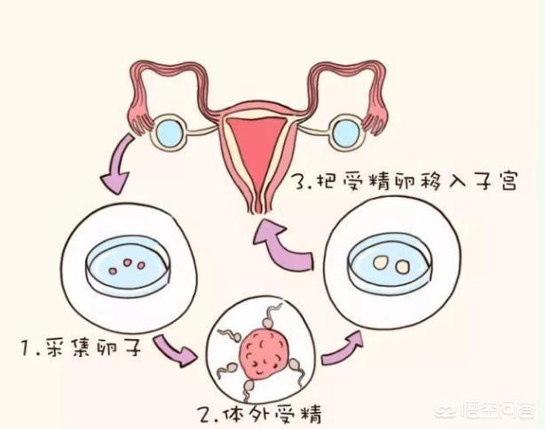 验孕棒