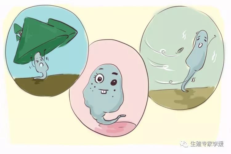 验孕棒