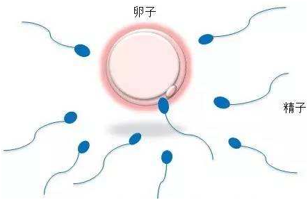 南京试管婴儿