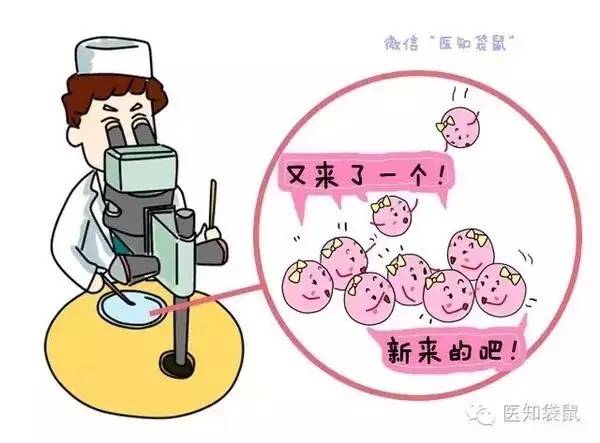 南京试管婴儿医院